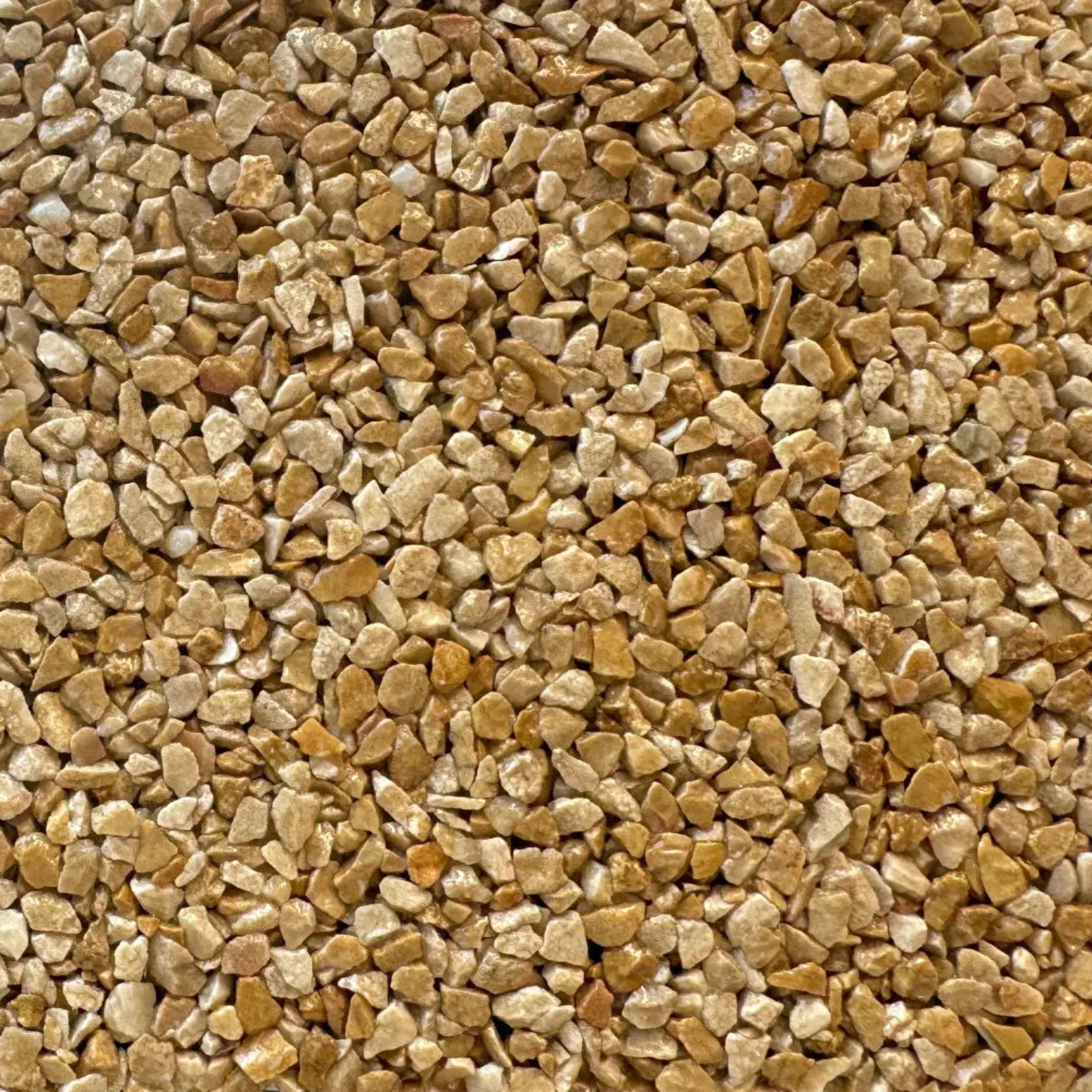 Caramello 2-5mm 55lbs